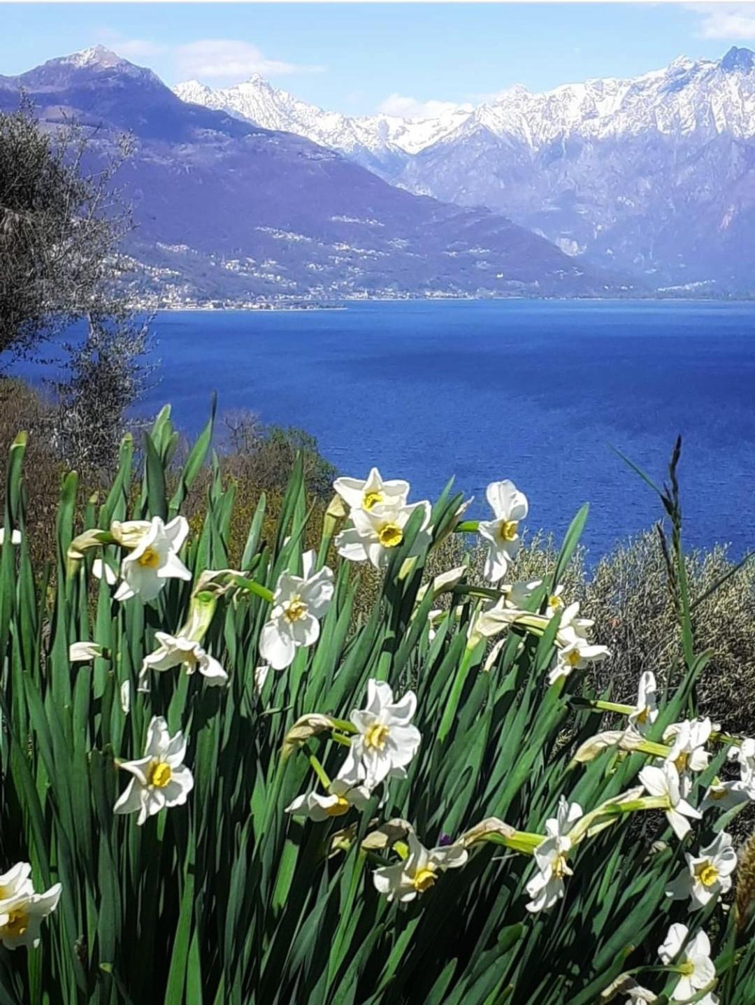 Balcony On Lake Pianello Pianello Del Lario Exteriér fotografie