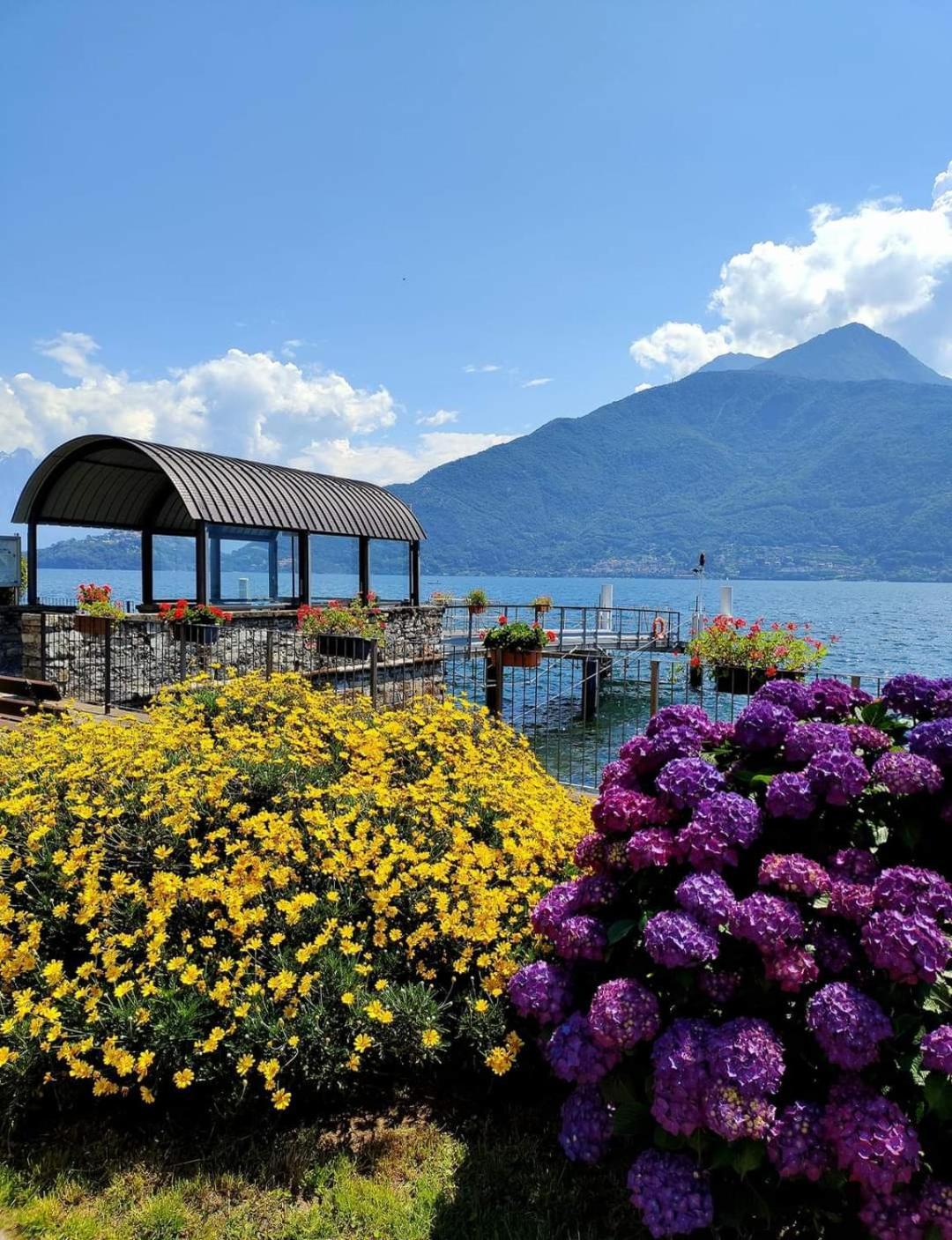 Balcony On Lake Pianello Pianello Del Lario Exteriér fotografie
